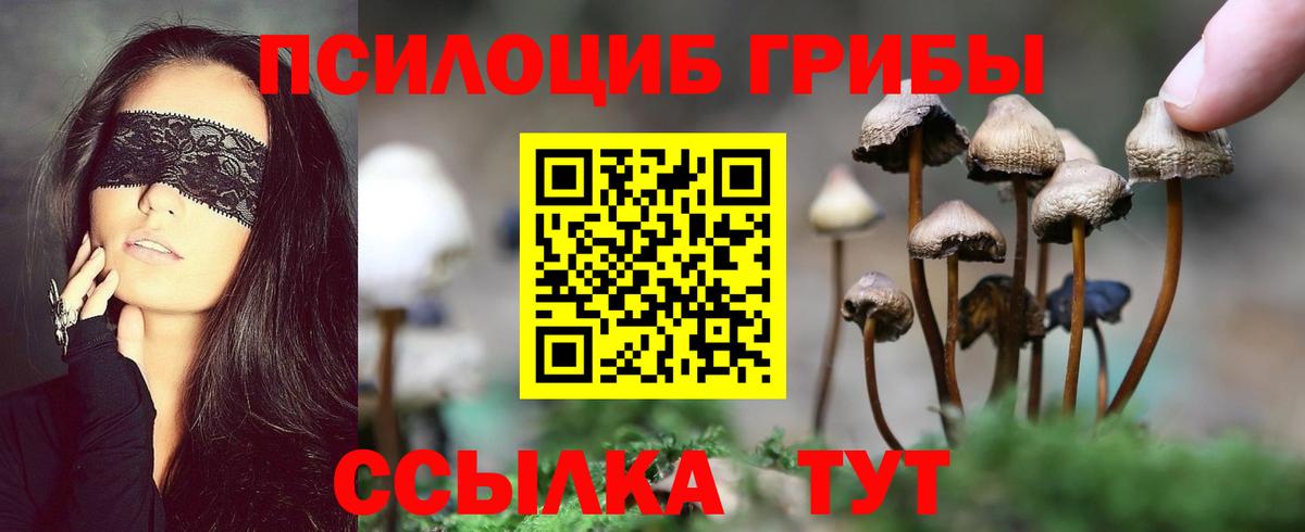 Галлюциногенные грибы Psilocybe  Вход с VPN  Галлюциногенные грибы Psilocybine cubensis  Смоленск 