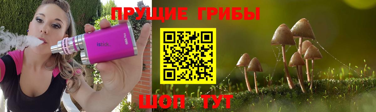 Галлюциногенные грибы Psilocybine cubensis Смоленск